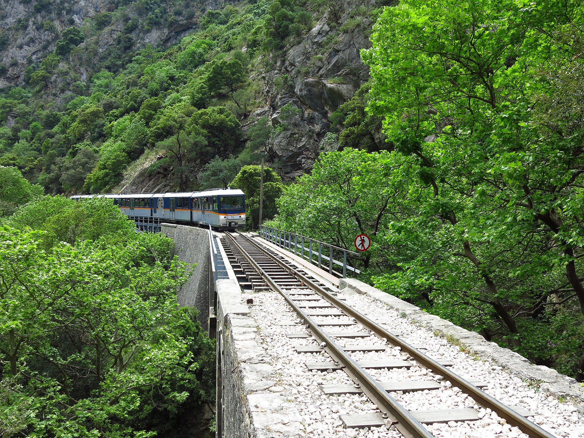 The Odontotos train in the green Vouraikos gorge near Kalavryta